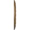Ekena Millwork Dublin Ceiling Medallion (Fits Canopies up to 5 1/8"), 17 7/8"OD x 3 5/8"ID x 1 1/4"P, Rubbed Bronze CM17DURZS - alternate 3